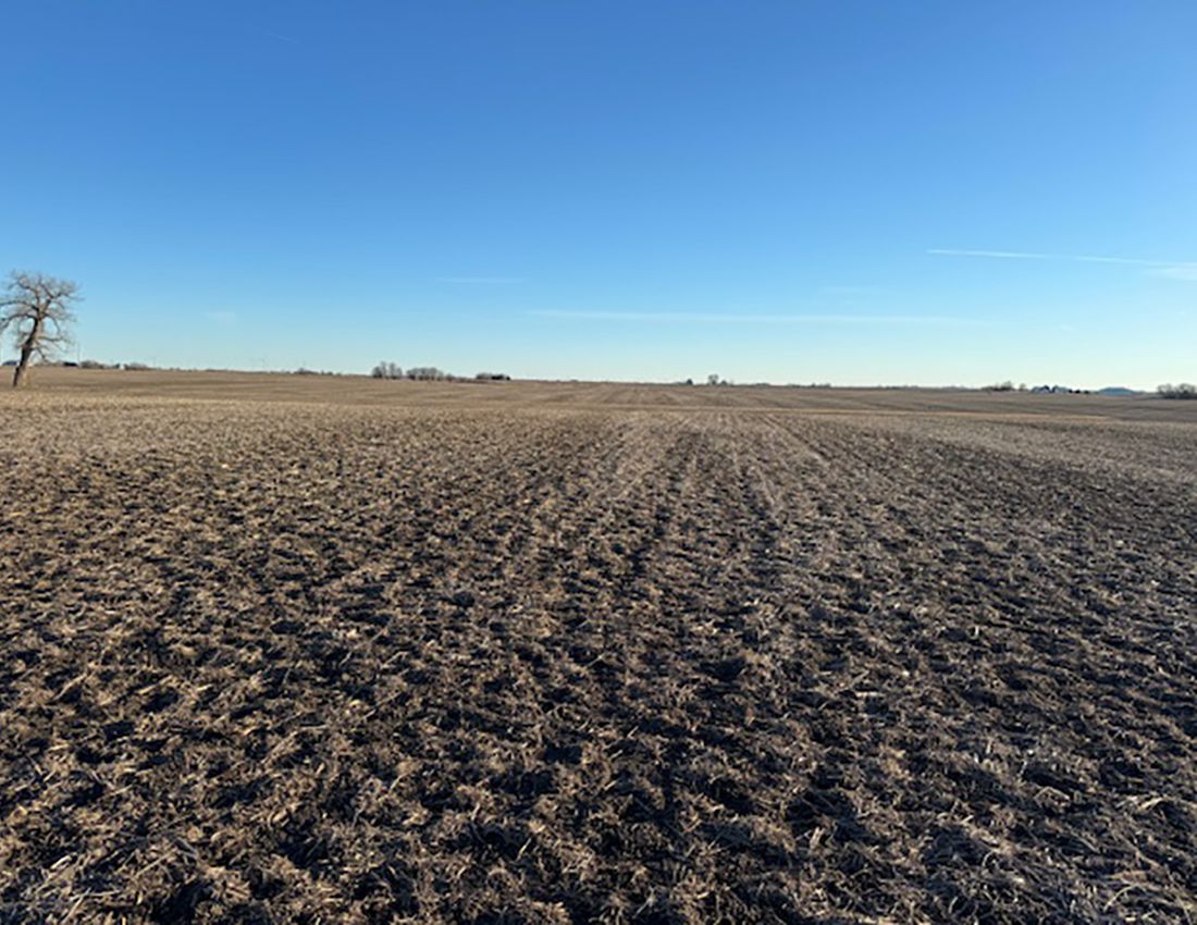 Listing Photo: Diss looking south